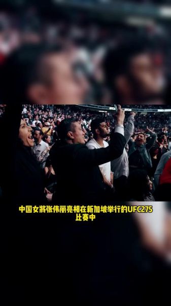 ufc直播在线观哪里观看免费(ufc免费直播入口)